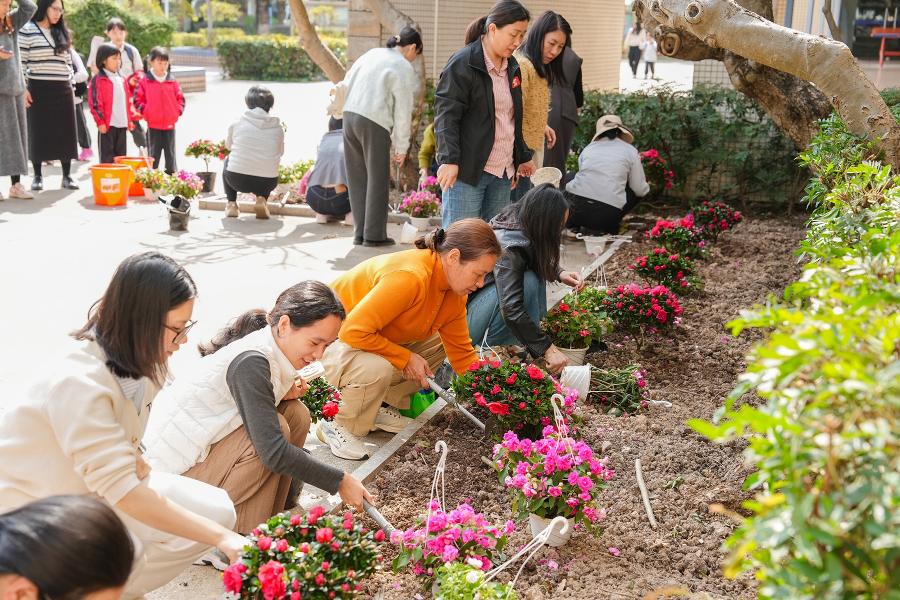 博文•庆祝妇女节 | 巾帼植绿添春色，匠心育人绽芳华